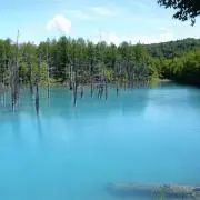 青の画像