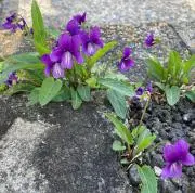 meyuna93の画像