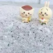 まっきょんの画像