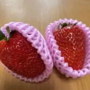 えん339510の画像