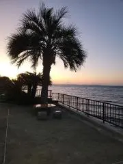 141desuの画像