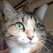 なの画像