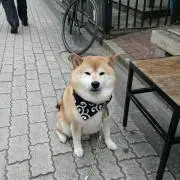サミー
