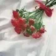 ʚ ♡ ɞの画像