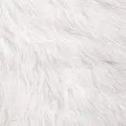 Nolbeの画像