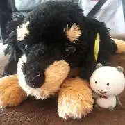 じゅりあす