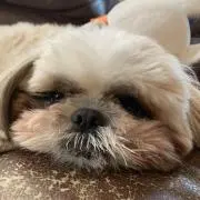 Shio※プロフご一読下さいの画像