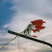 sumの画像