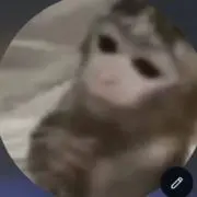 Elmoの画像