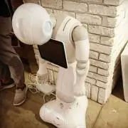 tk3の画像