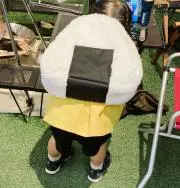 みけの画像