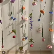 おしの