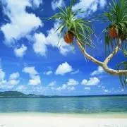 海の画像