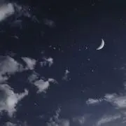待宵の画像