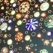 NN★の画像