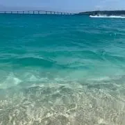 HARU【プロフ確認お願いします】の画像