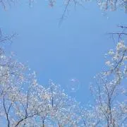 ああああの画像
