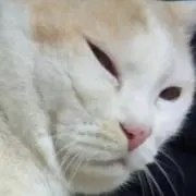 太郎の画像