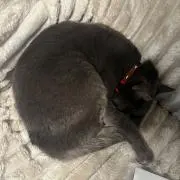 みぃ