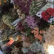 Yの画像