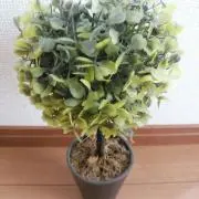 slimeの画像