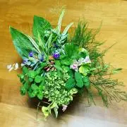 あおのりの画像