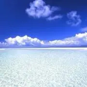 ねぶそく