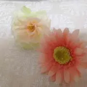 Lily