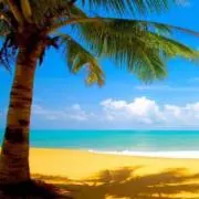 ♡MaHaLo♡の画像