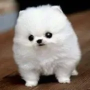 eの画像