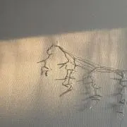 よるくま＊プロフ閲覧推奨の画像
