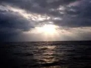 ベティ*.+紹介文必読☆*。の画像