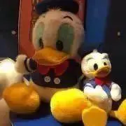 柚希の画像