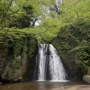 かえで