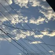 Sskの画像