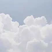 よっこ