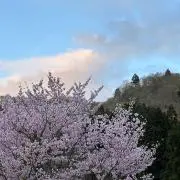 バチソヅ#整理中の画像