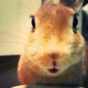 yukichiの画像
