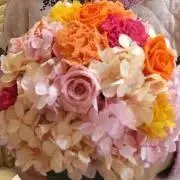 ママままママの画像