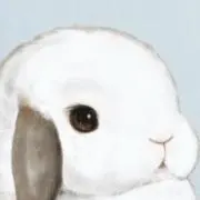 TOMO&Ｒ-TORAKOの画像