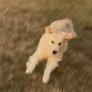 さん