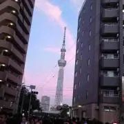 Magenta