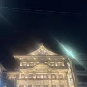 りゅの画像