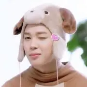 レモンちゃんの画像