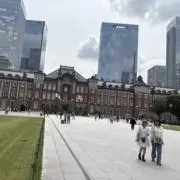 するめいかの画像
