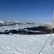 かねの画像