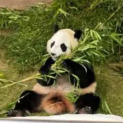 miiiiの画像