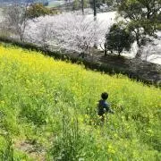 rityuuの画像