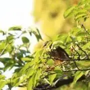 温かいの画像