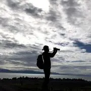 DOM。の画像